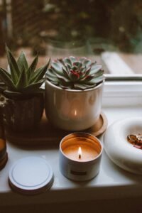 Bougie allumée posée sur une table où se trouve des petites plantes type cactus